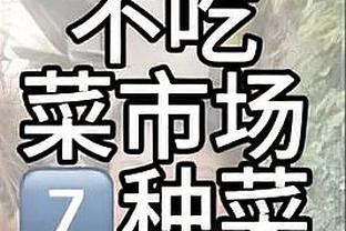 开云全站app官方网站登录截图2